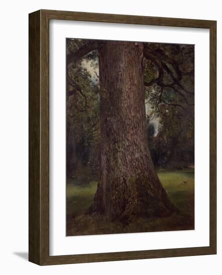 Study of the Trunk of an Elm Tree, circa 1821-John Constable-Framed Giclee Print