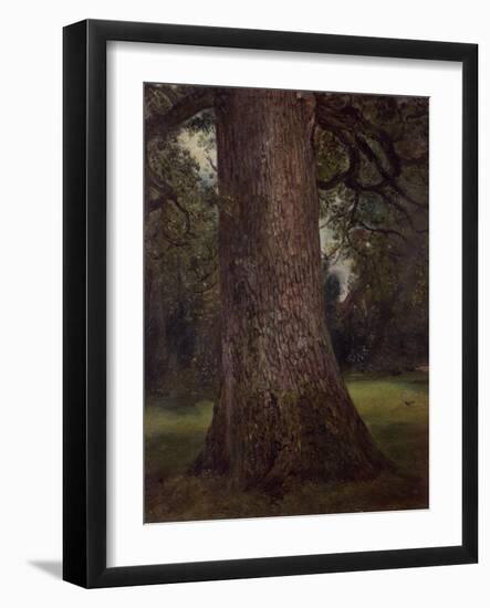 Study of the Trunk of an Elm Tree, circa 1821-John Constable-Framed Giclee Print