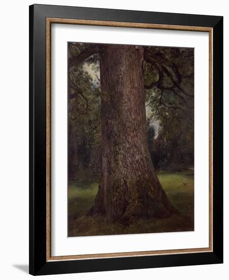 Study of the Trunk of an Elm Tree, circa 1821-John Constable-Framed Giclee Print