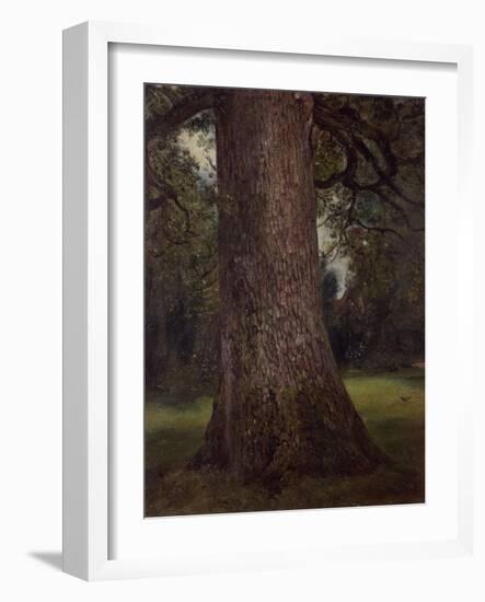 Study of the Trunk of an Elm Tree, circa 1821-John Constable-Framed Giclee Print