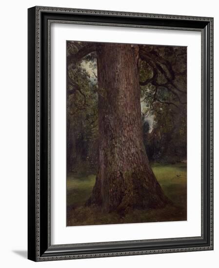 Study of the Trunk of an Elm Tree, circa 1821-John Constable-Framed Giclee Print