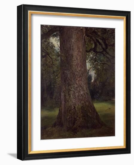 Study of the Trunk of an Elm Tree, circa 1821-John Constable-Framed Giclee Print