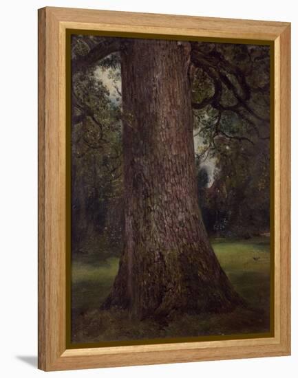 Study of the Trunk of an Elm Tree, circa 1821-John Constable-Framed Premier Image Canvas