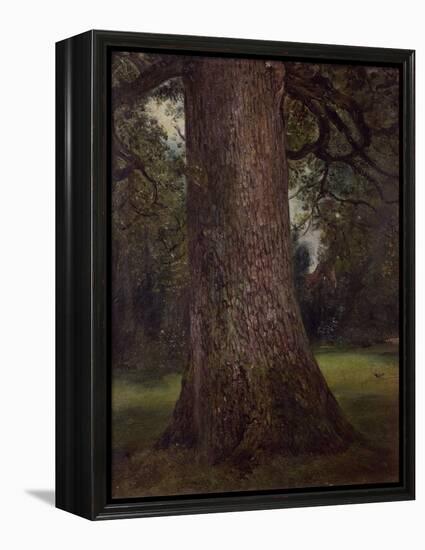 Study of the Trunk of an Elm Tree, circa 1821-John Constable-Framed Premier Image Canvas