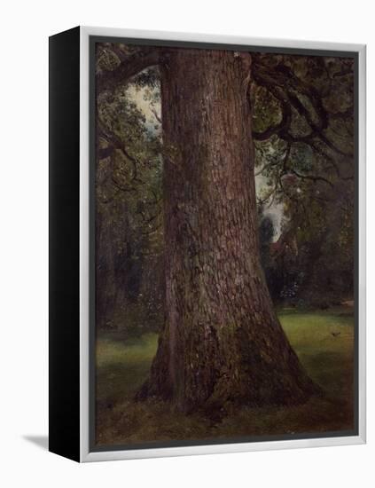Study of the Trunk of an Elm Tree, circa 1821-John Constable-Framed Premier Image Canvas