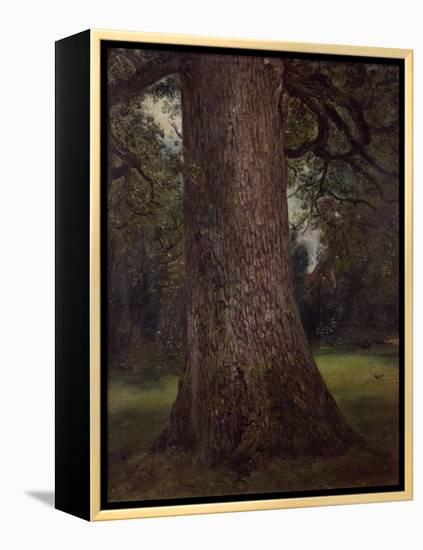 Study of the Trunk of an Elm Tree, circa 1821-John Constable-Framed Premier Image Canvas
