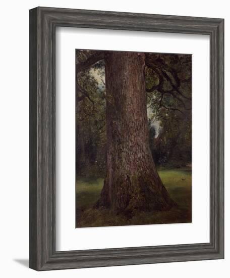 Study of the Trunk of an Elm Tree, circa 1821-John Constable-Framed Giclee Print