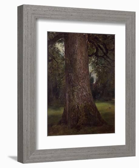 Study of the Trunk of an Elm Tree, circa 1821-John Constable-Framed Giclee Print