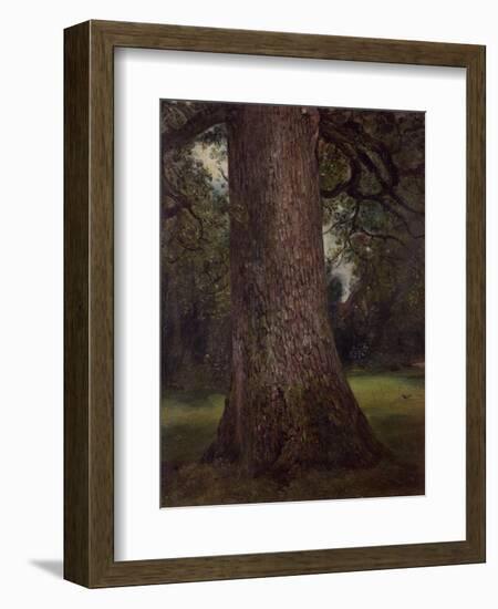 Study of the Trunk of an Elm Tree, circa 1821-John Constable-Framed Giclee Print