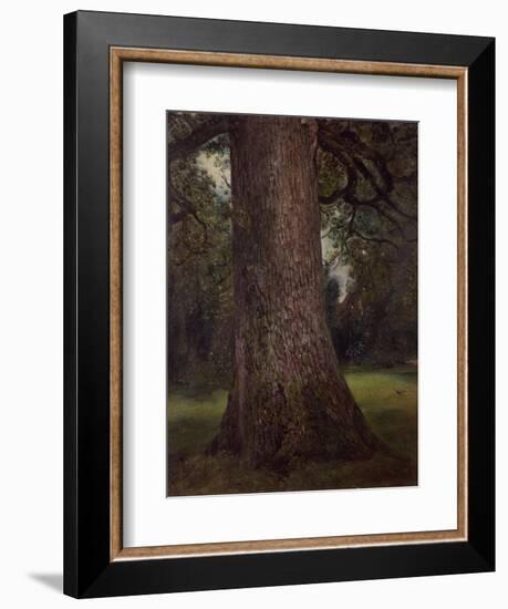 Study of the Trunk of an Elm Tree, circa 1821-John Constable-Framed Giclee Print