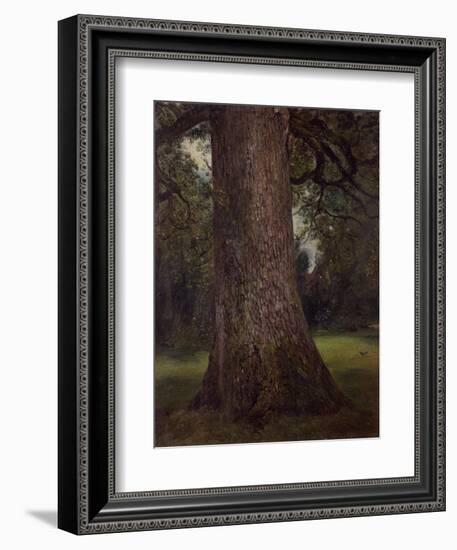 Study of the Trunk of an Elm Tree, circa 1821-John Constable-Framed Giclee Print