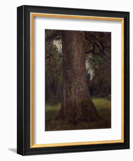 Study of the Trunk of an Elm Tree, circa 1821-John Constable-Framed Giclee Print