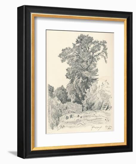 Study of Trees, C1839-1898, (1898)-Henri-Joseph Harpignies-Framed Giclee Print