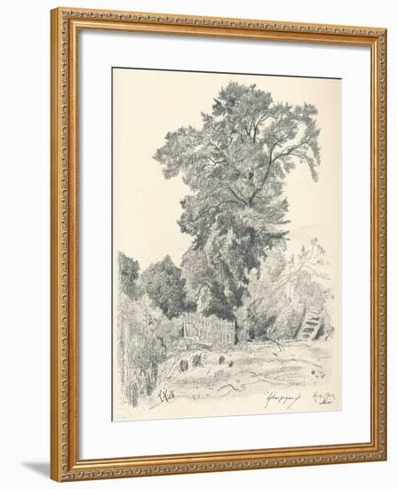 Study of Trees, C1839-1898, (1898)-Henri-Joseph Harpignies-Framed Giclee Print