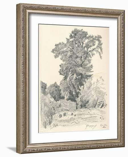 Study of Trees, C1839-1898, (1898)-Henri-Joseph Harpignies-Framed Giclee Print