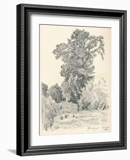 Study of Trees, C1839-1898, (1898)-Henri-Joseph Harpignies-Framed Giclee Print