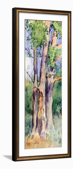 Study of Trees, C1842-1899-Rosa Bonheur-Framed Giclee Print