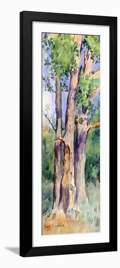 Study of Trees, C1842-1899-Rosa Bonheur-Framed Giclee Print