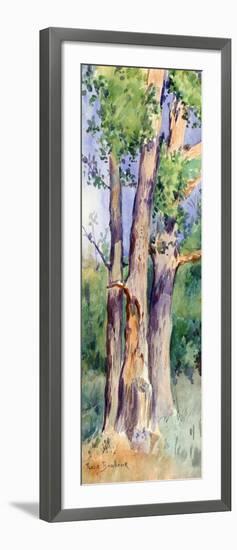 Study of Trees, C1842-1899-Rosa Bonheur-Framed Giclee Print