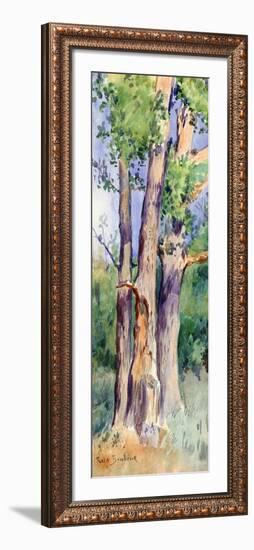 Study of Trees, C1842-1899-Rosa Bonheur-Framed Giclee Print