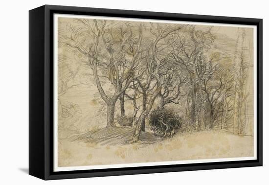 Study of Trees, Clovelly Park, 1834-Samuel Palmer-Framed Premier Image Canvas