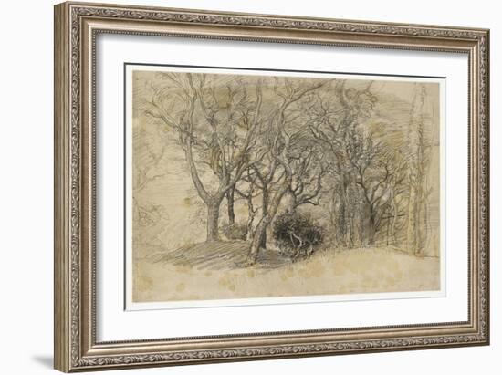 Study of Trees, Clovelly Park, 1834-Samuel Palmer-Framed Giclee Print