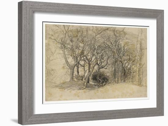 Study of Trees, Clovelly Park, 1834-Samuel Palmer-Framed Giclee Print