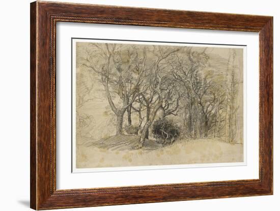 Study of Trees, Clovelly Park, 1834-Samuel Palmer-Framed Giclee Print