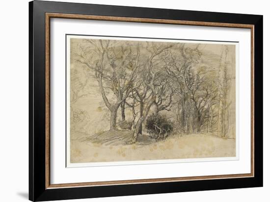 Study of Trees, Clovelly Park, 1834-Samuel Palmer-Framed Giclee Print