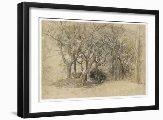 Study of Trees, Clovelly Park, 1834-Samuel Palmer-Framed Giclee Print