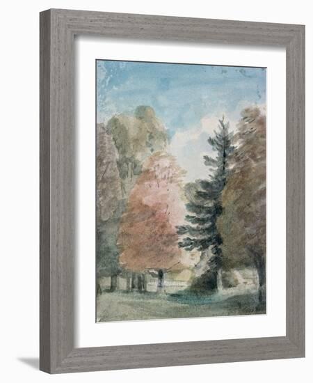 Study of Trees in a Park-John Constable-Framed Giclee Print