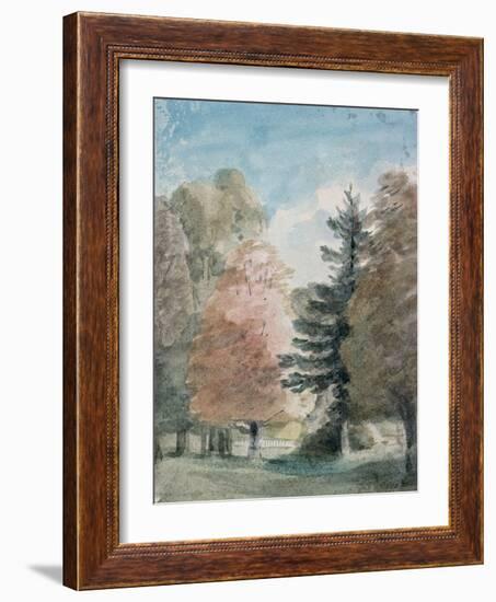 Study of Trees in a Park-John Constable-Framed Giclee Print