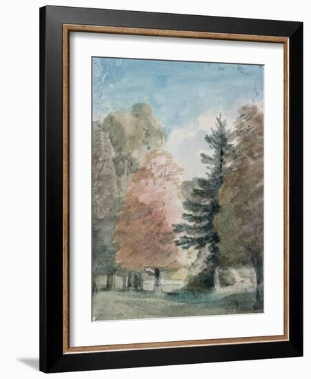 Study of Trees in a Park-John Constable-Framed Giclee Print