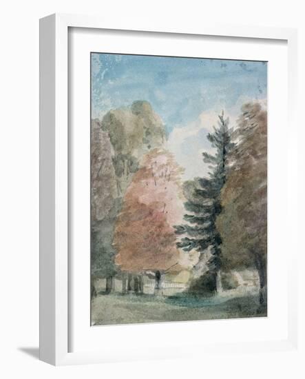 Study of Trees in a Park-John Constable-Framed Giclee Print