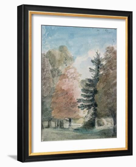 Study of Trees in a Park-John Constable-Framed Giclee Print