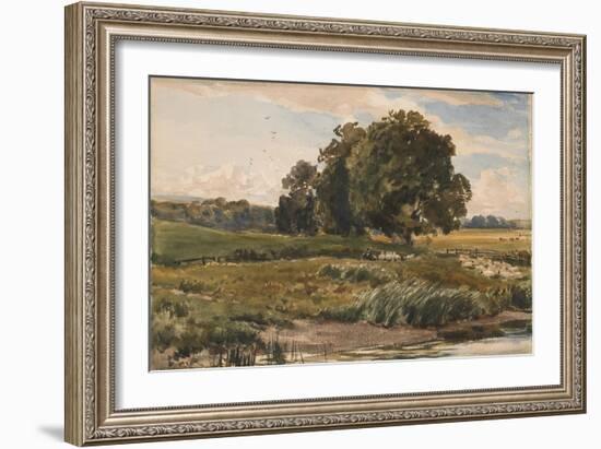 Study of Trees in Parham Park-Thomas Collier-Framed Giclee Print