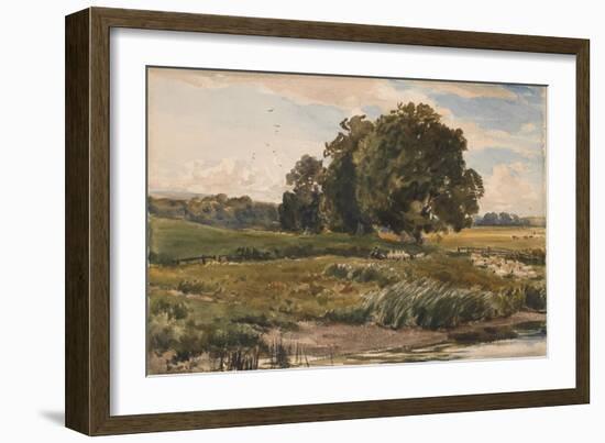 Study of Trees in Parham Park-Thomas Collier-Framed Giclee Print