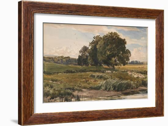 Study of Trees in Parham Park-Thomas Collier-Framed Giclee Print