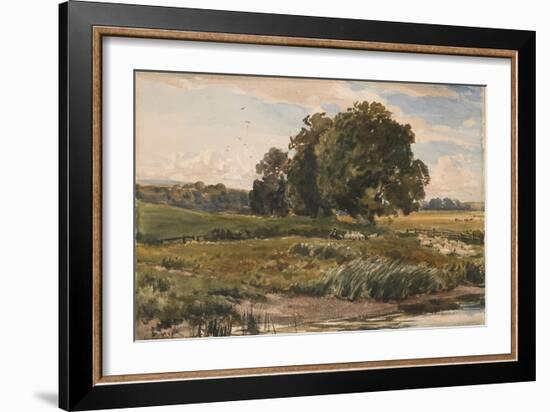 Study of Trees in Parham Park-Thomas Collier-Framed Giclee Print