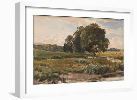 Study of Trees in Parham Park-Thomas Collier-Framed Giclee Print