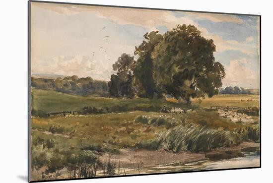 Study of Trees in Parham Park-Thomas Collier-Mounted Giclee Print