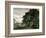 Study of Trees (Oil on Paper)-John Constable-Framed Giclee Print