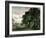 Study of Trees (Oil on Paper)-John Constable-Framed Giclee Print