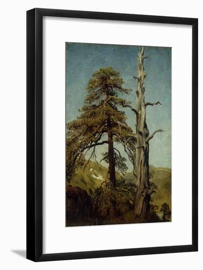 Study of Trees-August Cappelen-Framed Giclee Print