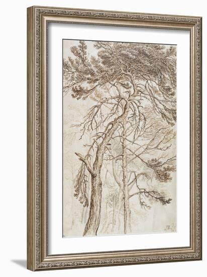 Study of Trees-James Ward-Framed Giclee Print