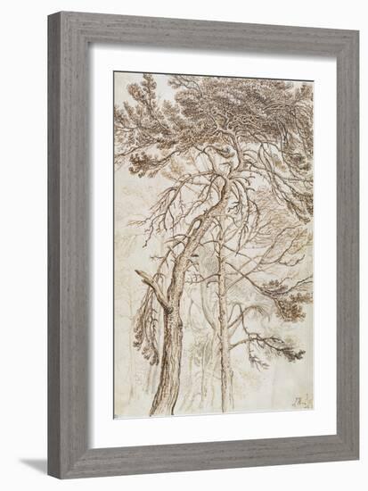 Study of Trees-James Ward-Framed Giclee Print