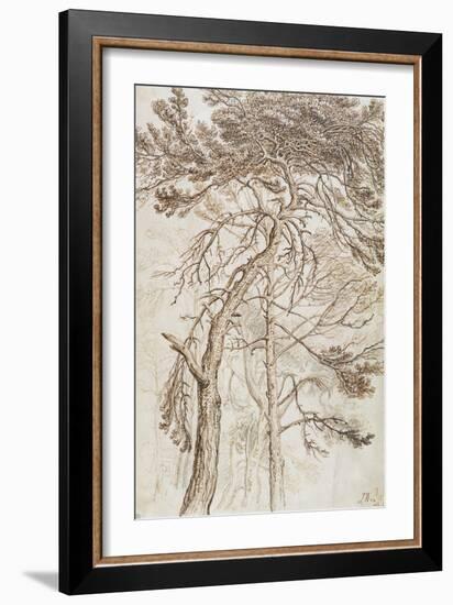 Study of Trees-James Ward-Framed Giclee Print