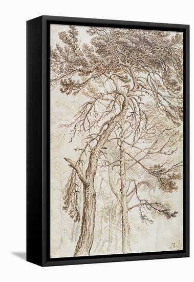 Study of Trees-James Ward-Framed Premier Image Canvas