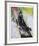 Study of Truman Capote Walking-Cliff Condak-Framed Limited Edition