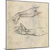 Study of Two Arms for 'The Drunkenness of Noah' in the Sistine Chapel-Michelangelo Buonarroti-Mounted Giclee Print